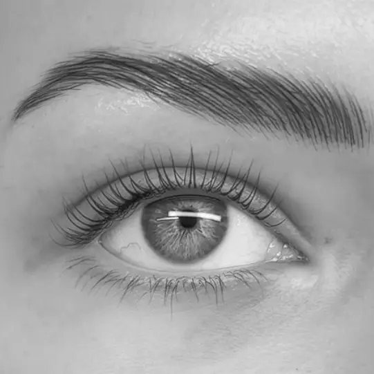 Lash Lift & Tint at Envy Lashes London
