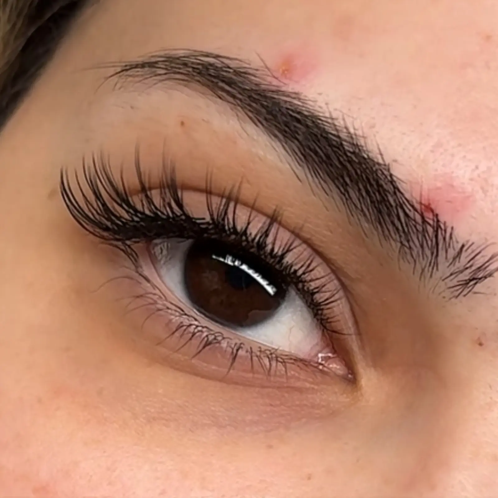 Volume Lashes